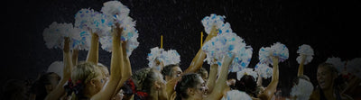ZUNI HILLS CHEER