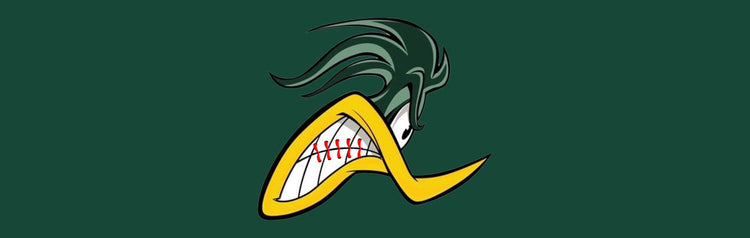 PEORIA BASEBALL ACADEMY
