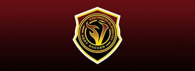 VISTANCIA ELEMENTARY SOCCER