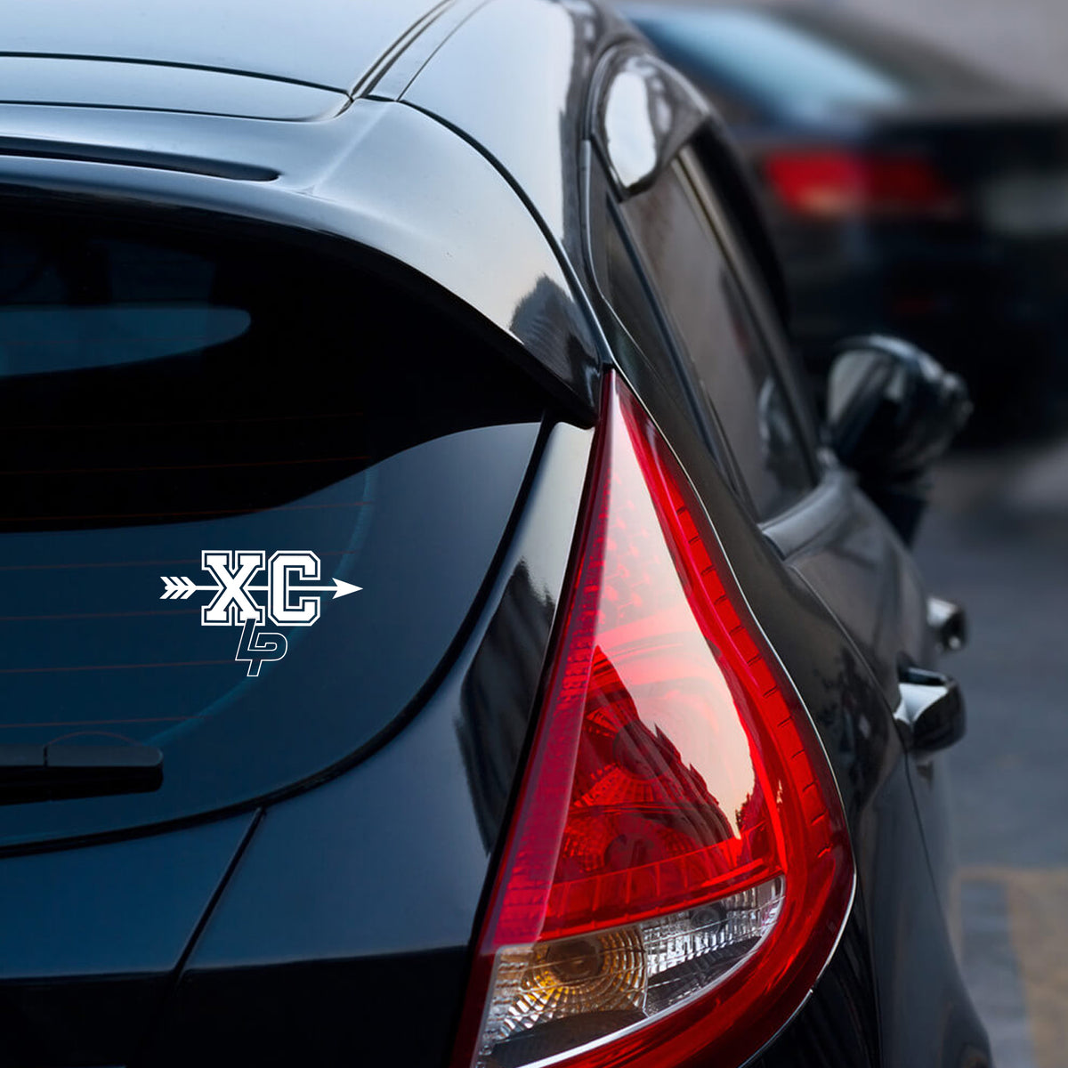Lake Pleasant XC Sticker