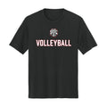 Volleyball Lions Unisex Dri Fit Tee