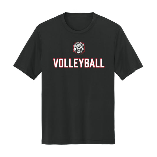 Volleyball Lions Unisex Dri Fit Tee