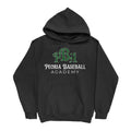 Peoria Baseball Academy Hoodie