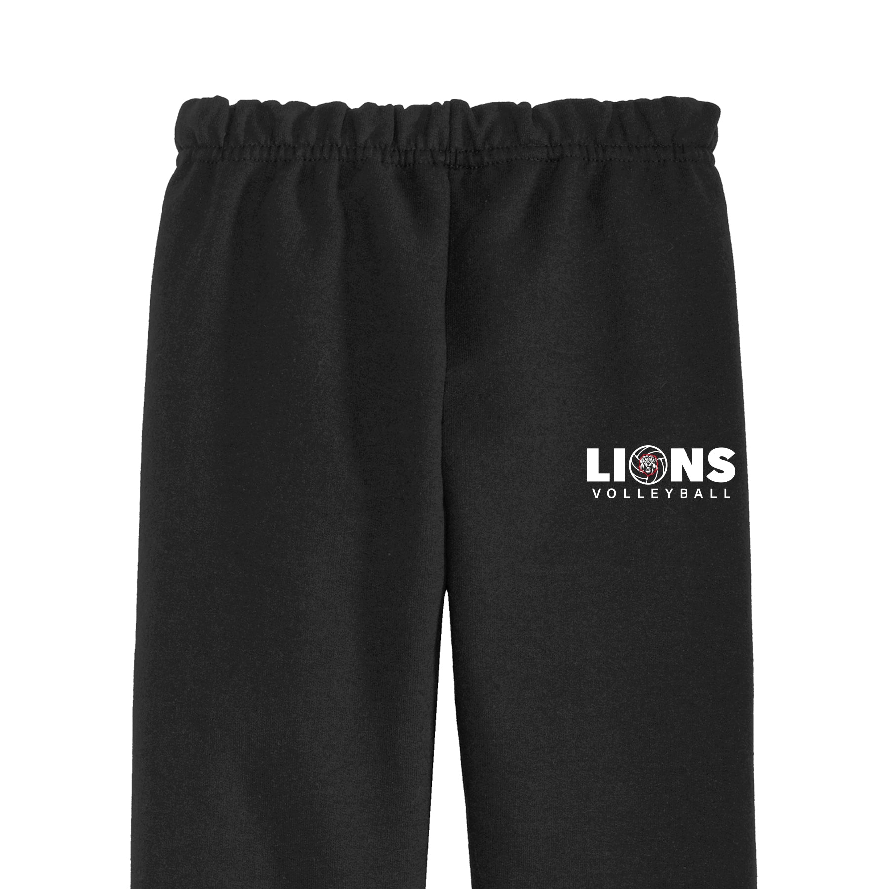 Lions Volleyball 2026 Unisex Sweatpants