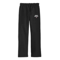 Lions Women's Basketball Unisex Sweatpants