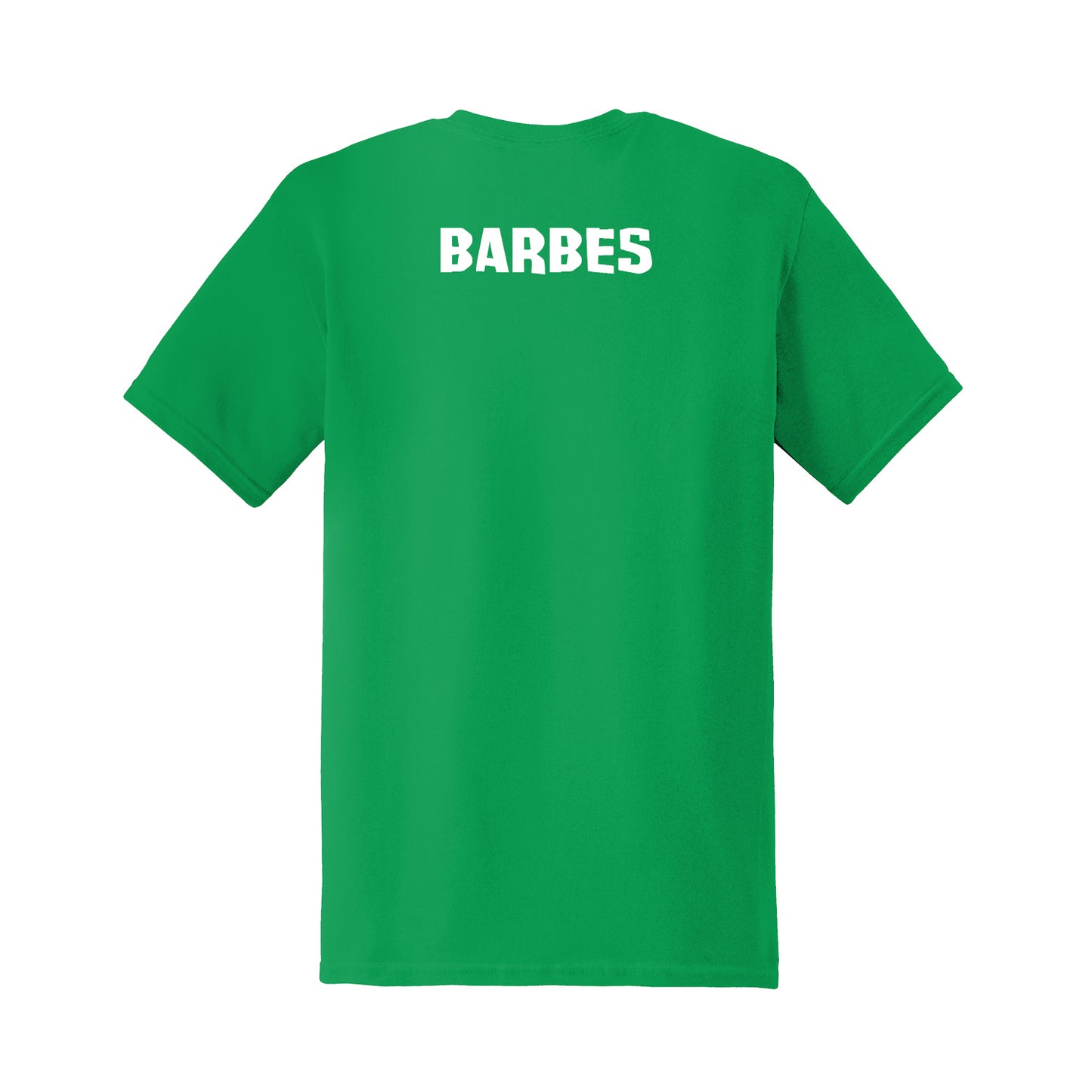 Barbes's 1st Grade Lake Pleasant Class Shirt