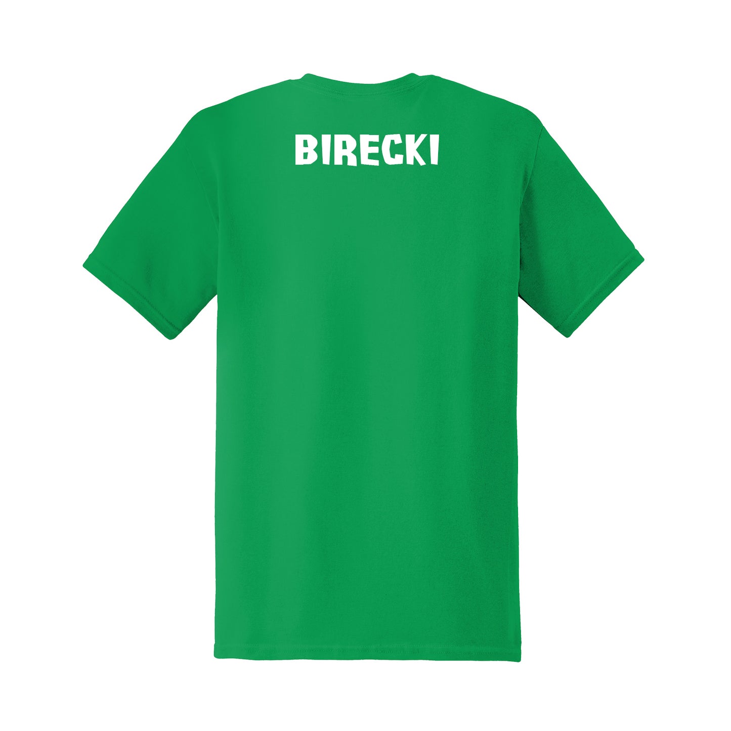 Birecki's 2nd Grade Lake Pleasant Class Shirt