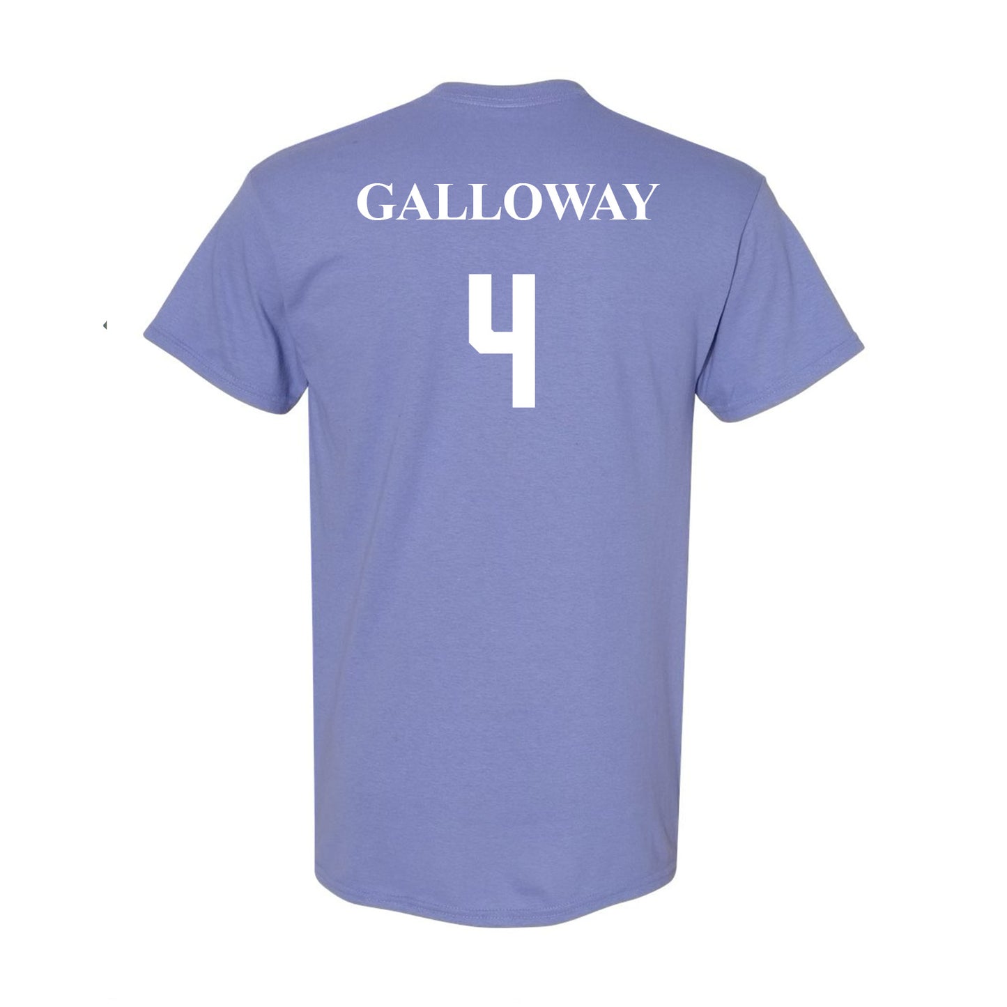 Galloway's 4th Grade Vistancia Class Shirt