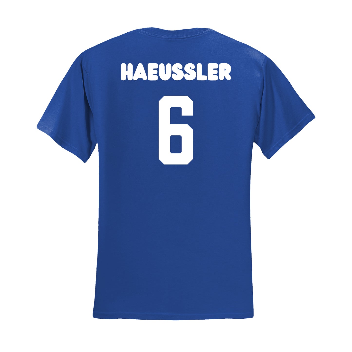 Haeussler's 6th Grade Vistancia Class Shirt (Royal)