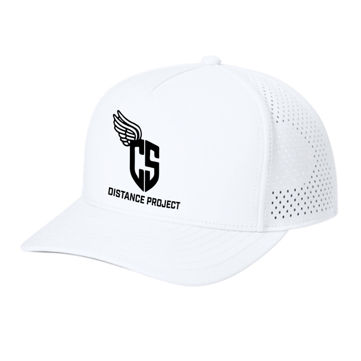 CS Distance Project Performance Cap