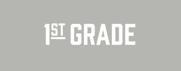  Lake Pleasant Elementary Class Tee