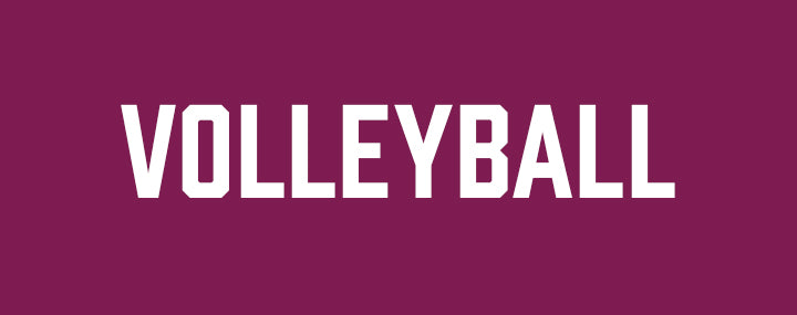 Lake Pleasant Elementary Volleyball