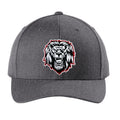 Liberty Lion Sport Tek Curved Bill Snapback (5 Color Options)