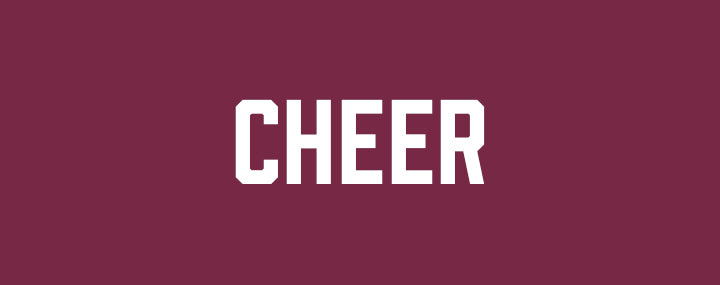 Vistancia Elementary Cheer