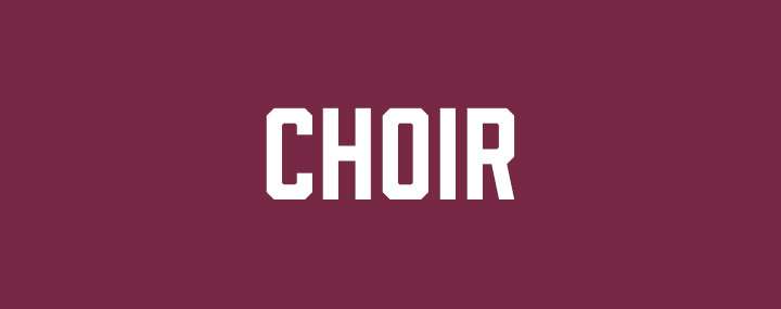 Vistancia Elementary Choir