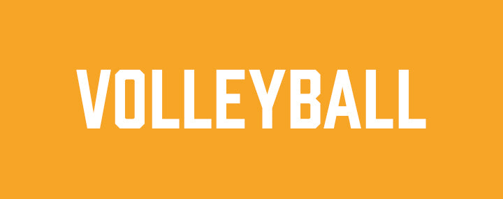 Vistancia Elementary Volleyball
