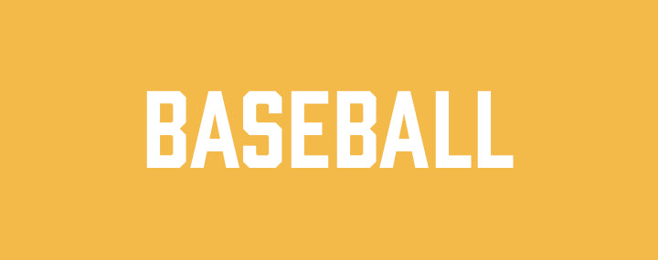 Zuni Hills Elementary Baseball