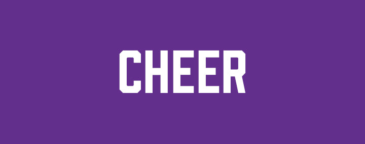 Zuni Hills Elementary Cheer