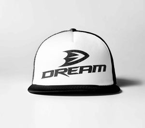 Dream (Ducks)